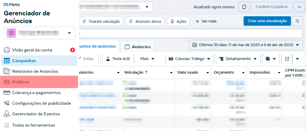 Facebook Business Manager - Acesso ao Públicos